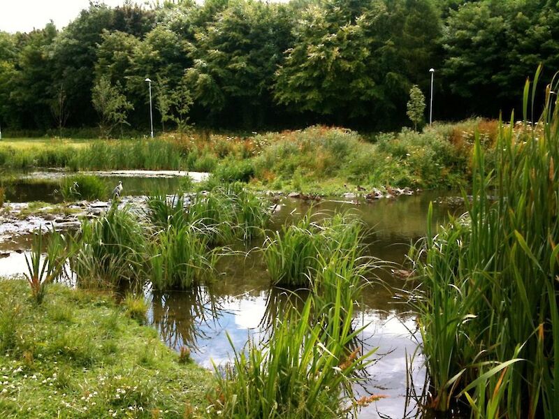Kilbogget Park Integrated Constructed Wetland