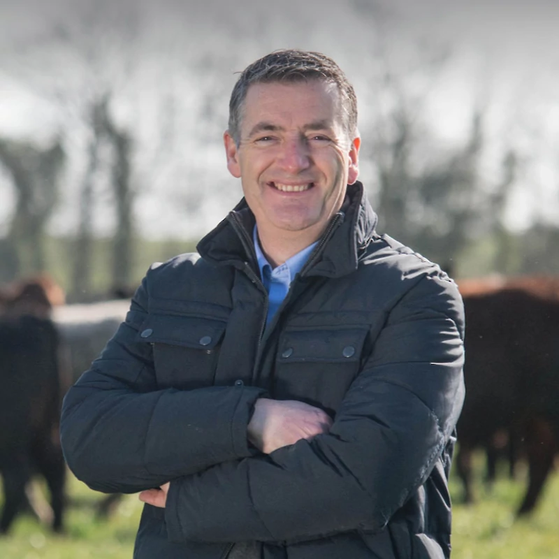 John Purcell, Good Herdsmen managing director