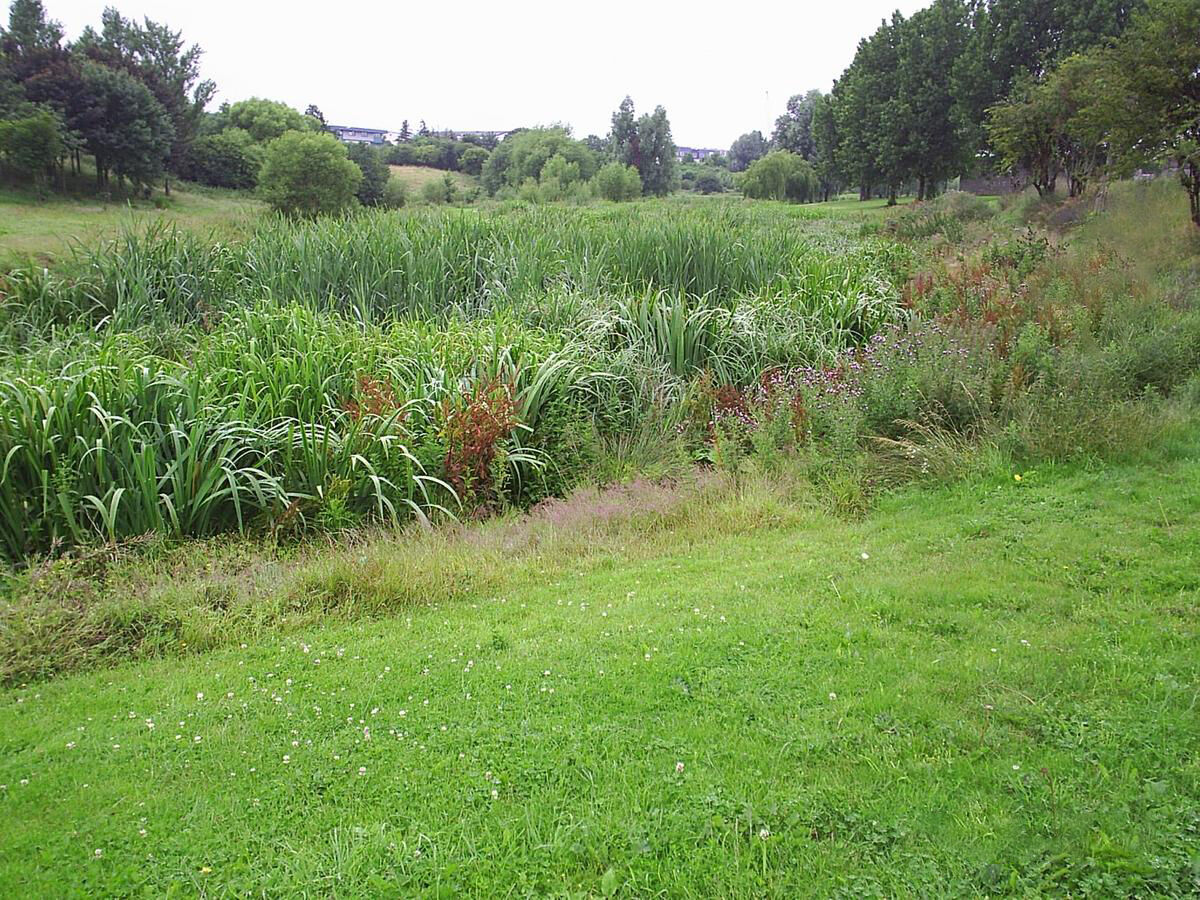Tolka Valley Integrated Constructed Wetland, Finglas, Dublin