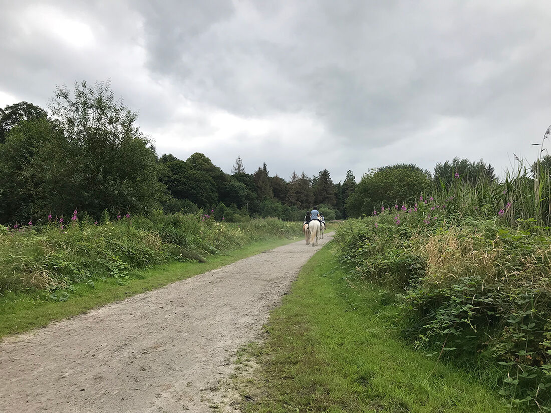 Glaslough Integrated Constructed Wetland