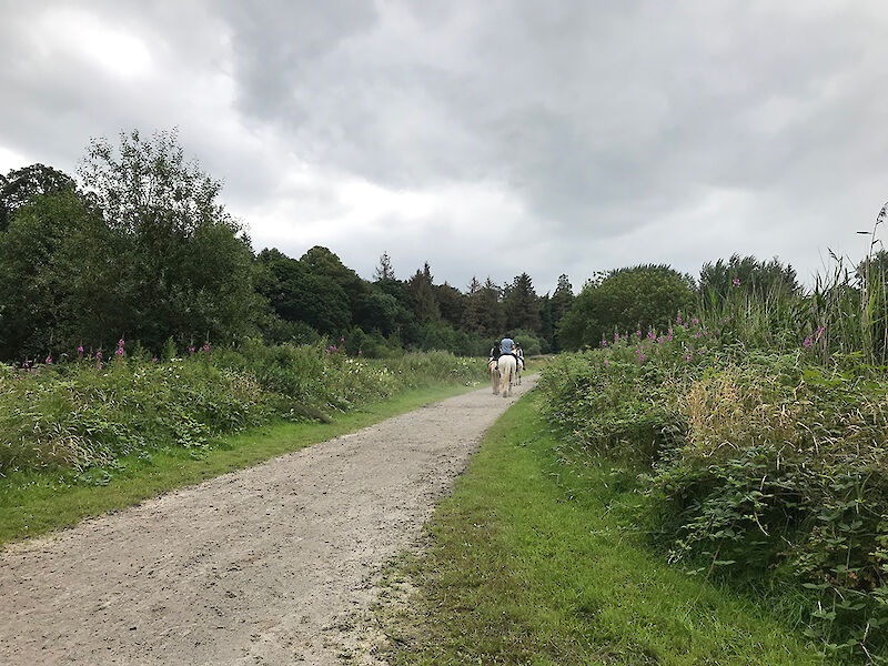 Monaghan County Council constructed a 6.7 ha ICW in 2007 for the village of Glaslough.