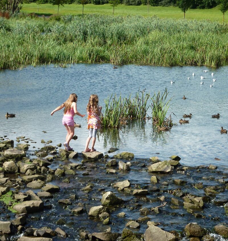 Community benefits of Integrated Constructed Wetlands