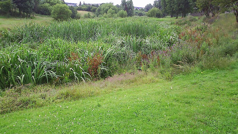 Tolka Valley Integrated Constructed Wetland, Finglas, Dublin