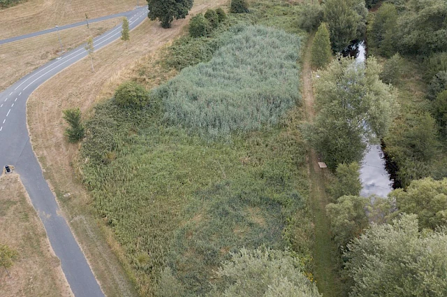 Tolka Valley Integrated Constructed Wetland