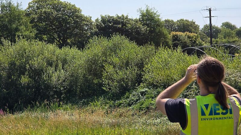VESI Ecologist on fieldwork