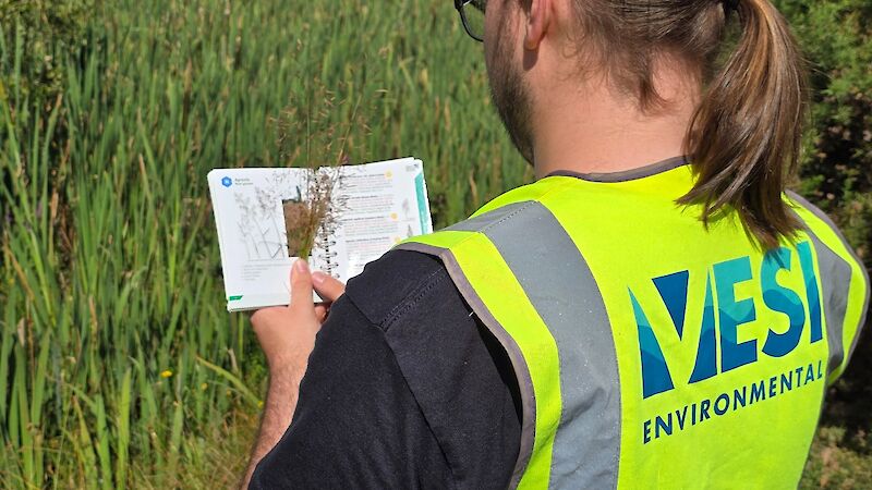 VESI Ecologist in the field