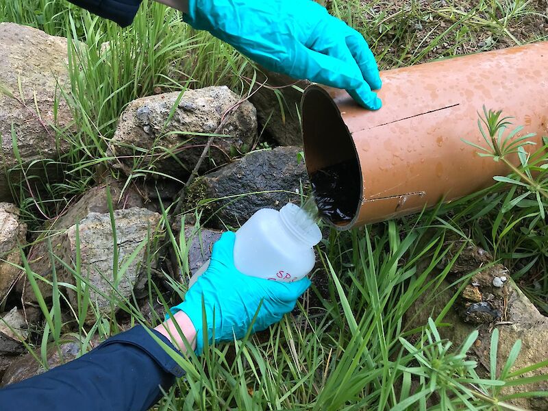 Water sampling for ICW O&M Stage