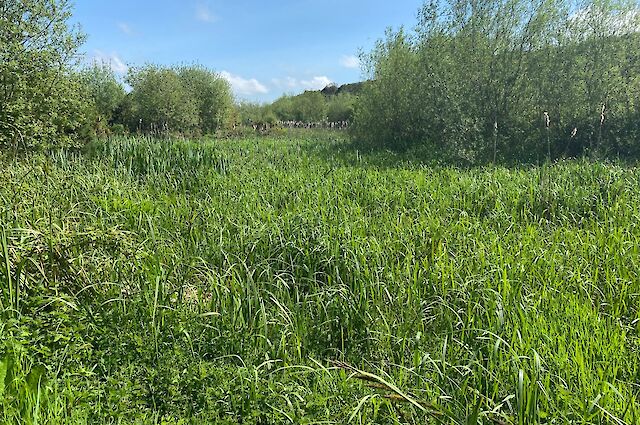 Industrial ICW - Ground level